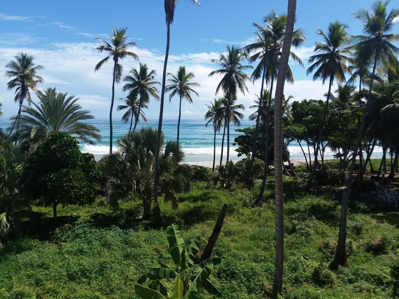 Oasi Encantada - Beach Resort Barahona Exterior foto